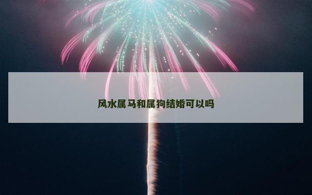 风水属马和属狗结婚可以吗