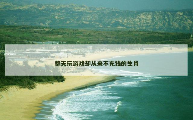 整天玩游戏却从来不充钱的生肖