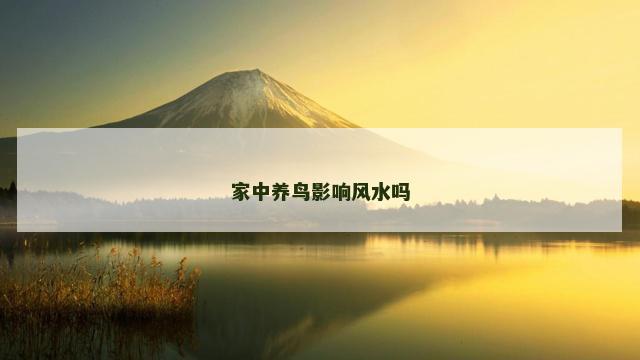 家中养鸟影响风水吗