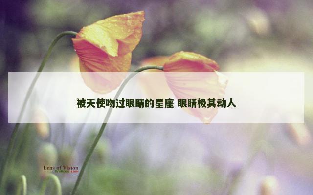 被天使吻过眼睛的星座 眼睛极其动人