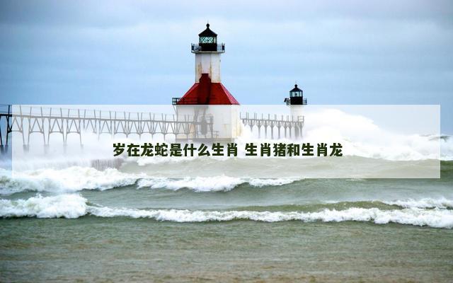 岁在龙蛇是什么生肖 生肖猪和生肖龙