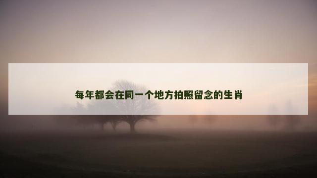 每年都会在同一个地方拍照留念的生肖