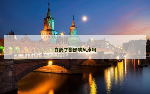白鸽子会影响风水吗