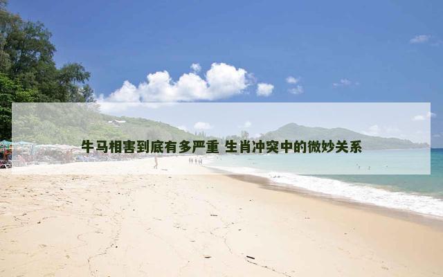 牛马相害到底有多严重 生肖冲突中的微妙关系