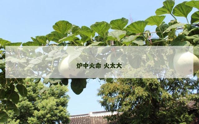炉中火命 火太大