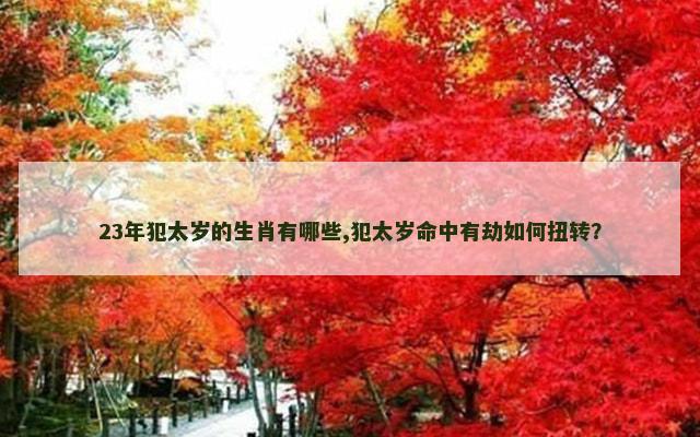 23年犯太岁的生肖有哪些,犯太岁命中有劫如何扭转？