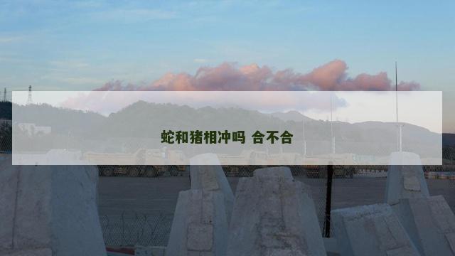 蛇和猪相冲吗 合不合