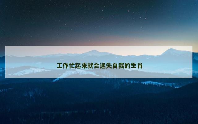 工作忙起来就会迷失自我的生肖