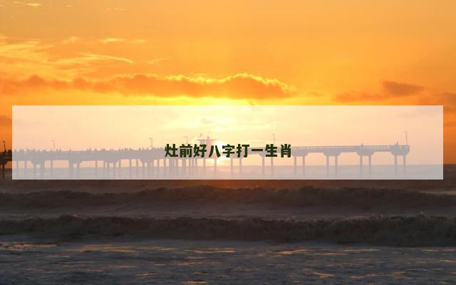 灶前好八字打一生肖