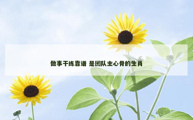 做事干练靠谱 是团队主心骨的生肖