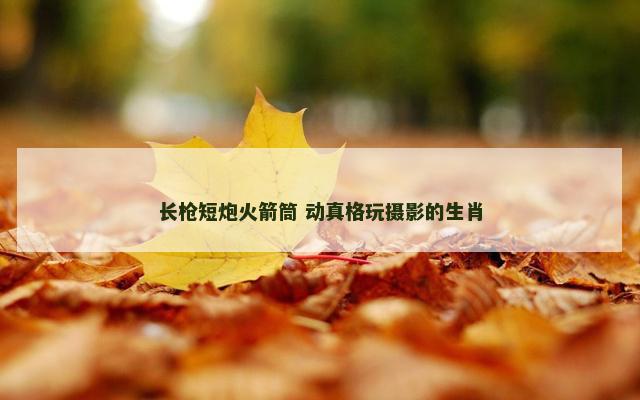 长枪短炮火箭筒 动真格玩摄影的生肖