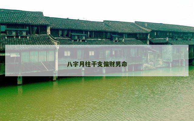 八字月柱干支偏财男命