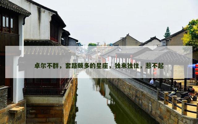 卓尔不群，套路颇多的星座，独来独往，惹不起