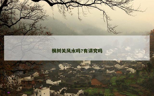 枫树关风水吗?有讲究吗