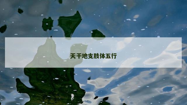 天干地支肢体五行
