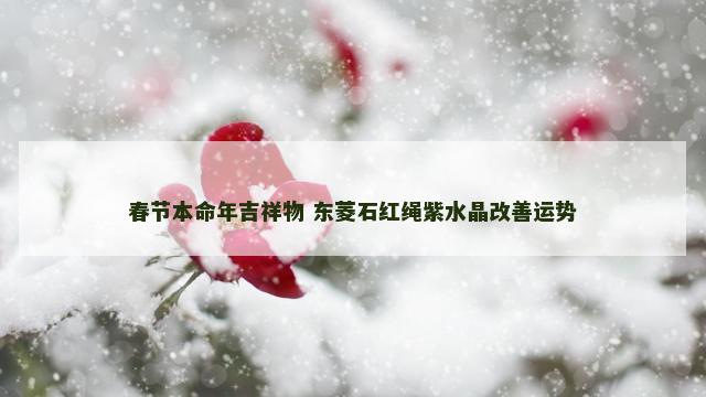 春节本命年吉祥物 东菱石红绳紫水晶改善运势
