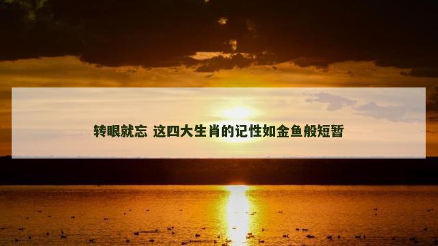 转眼就忘 这四大生肖的记性如金鱼般短暂