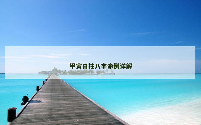 甲寅日柱八字命例详解