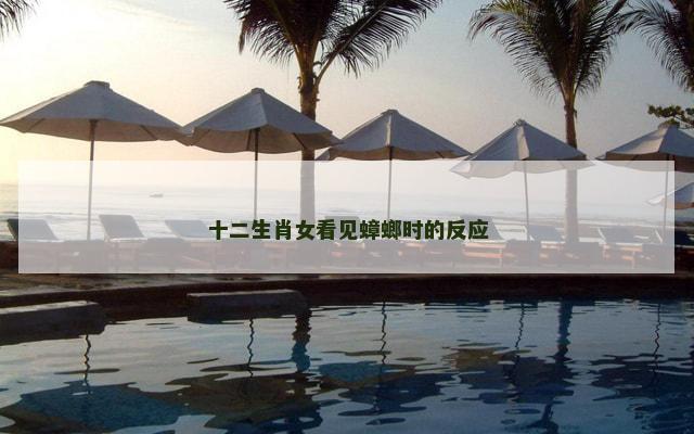 十二生肖女看见蟑螂时的反应
