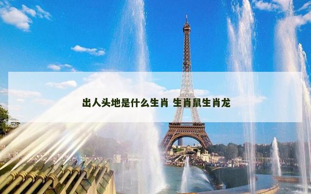 出人头地是什么生肖 生肖鼠生肖龙
