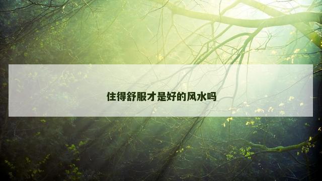 住得舒服才是好的风水吗