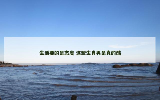 生活要的是态度 这些生肖男是真的酷