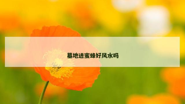 墓地进蜜蜂好风水吗