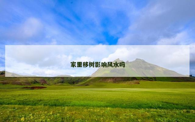 家里移树影响风水吗