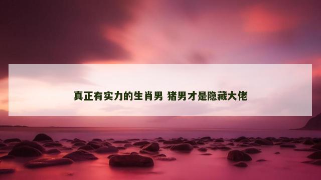 真正有实力的生肖男 猪男才是隐藏大佬