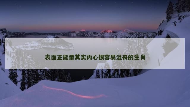 表面正能量其实内心很容易沮丧的生肖