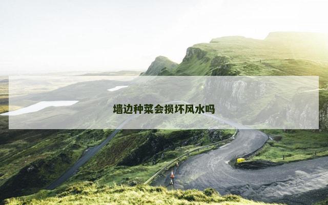 墙边种菜会损坏风水吗