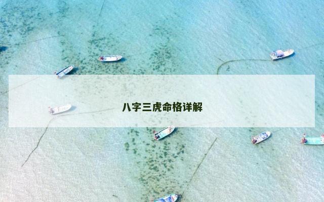 八字三虎命格详解