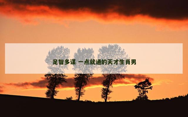足智多谋 一点就通的天才生肖男