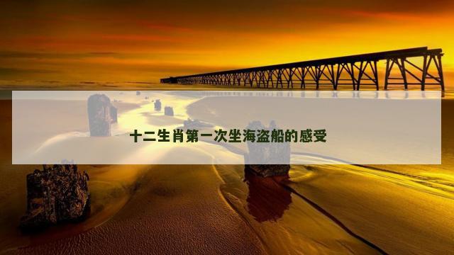 十二生肖第一次坐海盗船的感受