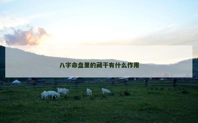 八字命盘里的藏干有什么作用