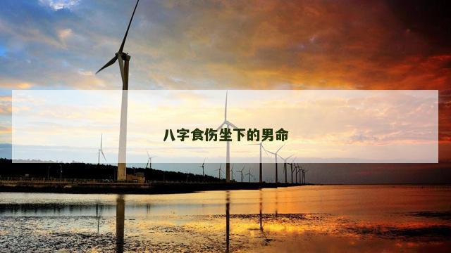 八字食伤坐下的男命