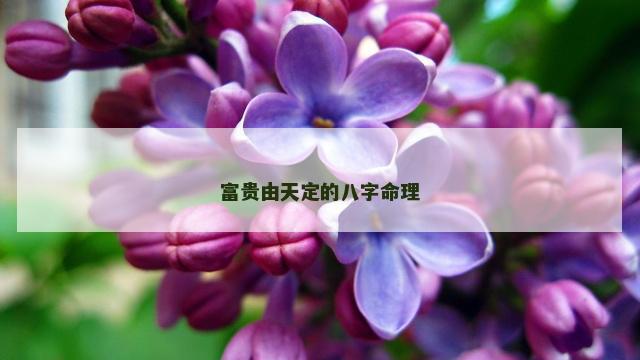 富贵由天定的八字命理