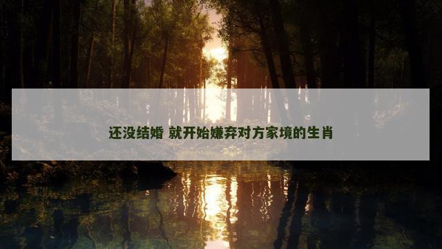 还没结婚 就开始嫌弃对方家境的生肖