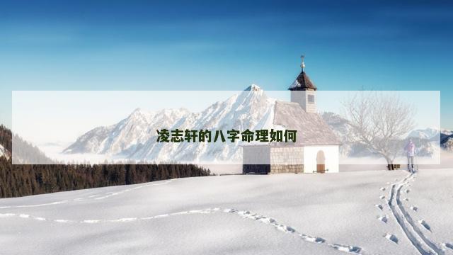 凌志轩的八字命理如何