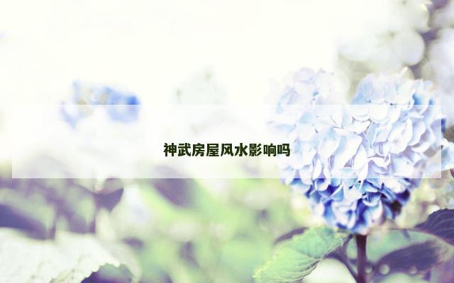 神武房屋风水影响吗
