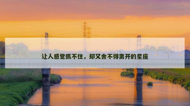 让人感觉抓不住，却又舍不得离开的星座