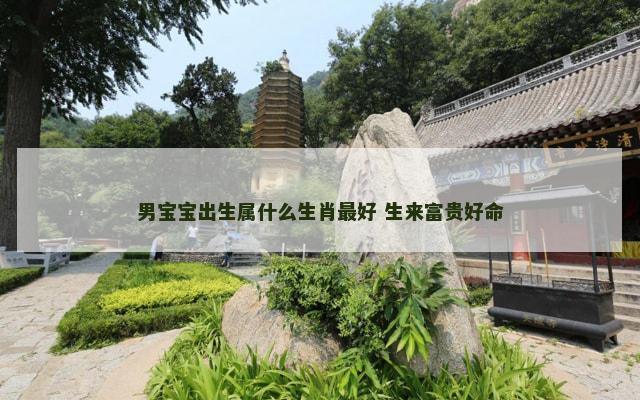 男宝宝出生属什么生肖最好 生来富贵好命