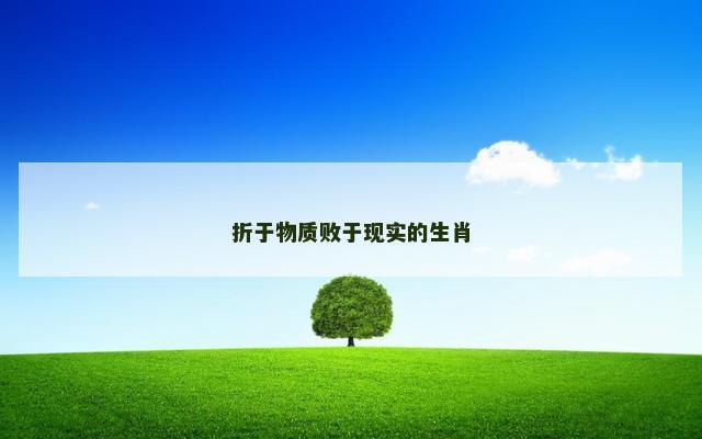 折于物质败于现实的生肖