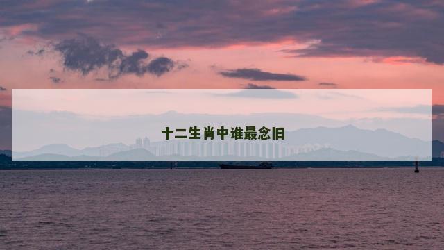 十二生肖中谁最念旧