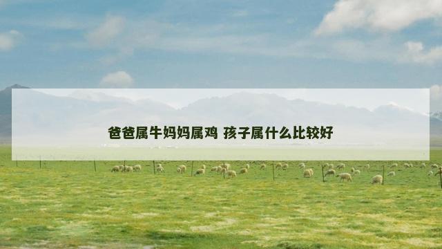 爸爸属牛妈妈属鸡 孩子属什么比较好