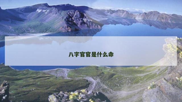 八字官官是什么命