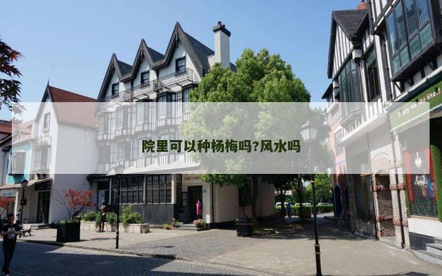 院里可以种杨梅吗?风水吗