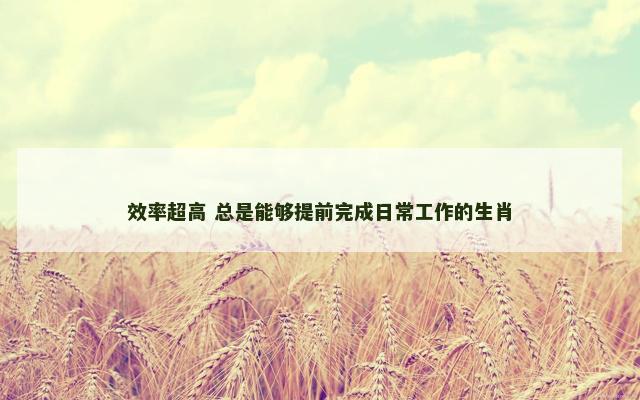效率超高 总是能够提前完成日常工作的生肖