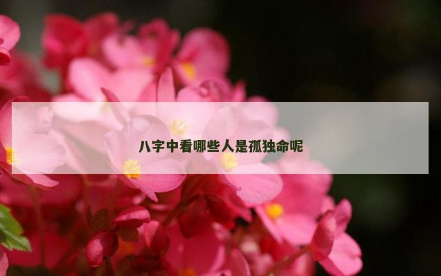 八字中看哪些人是孤独命呢