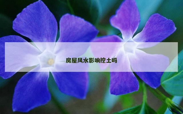 房屋风水影响挖土吗